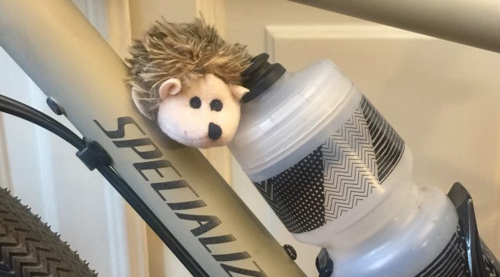mascotte
